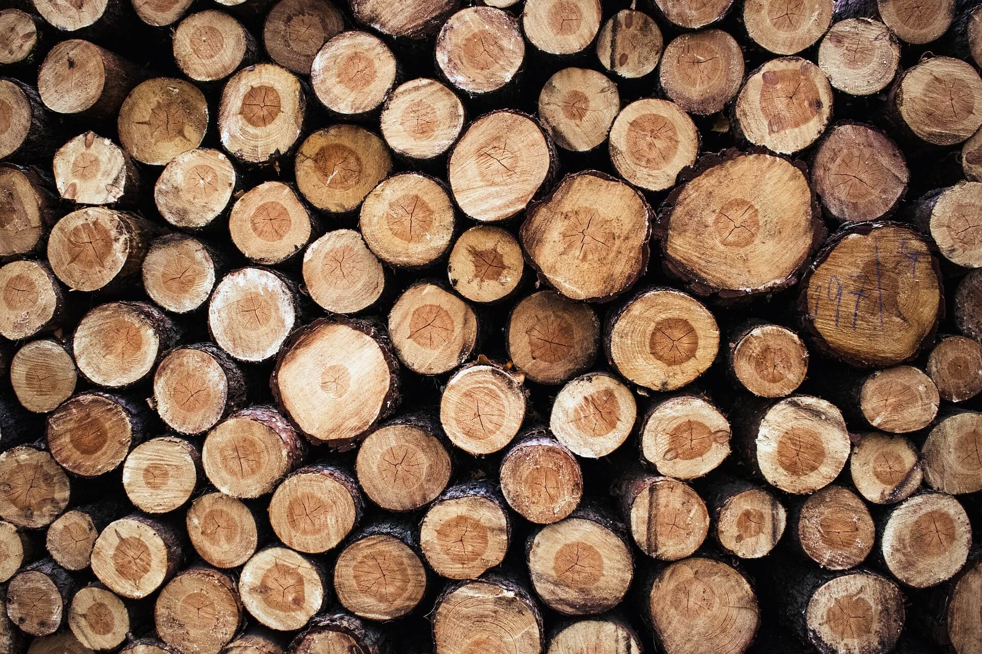 Madera