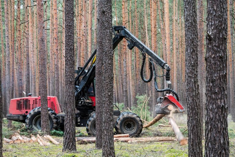 Tractor forestal
