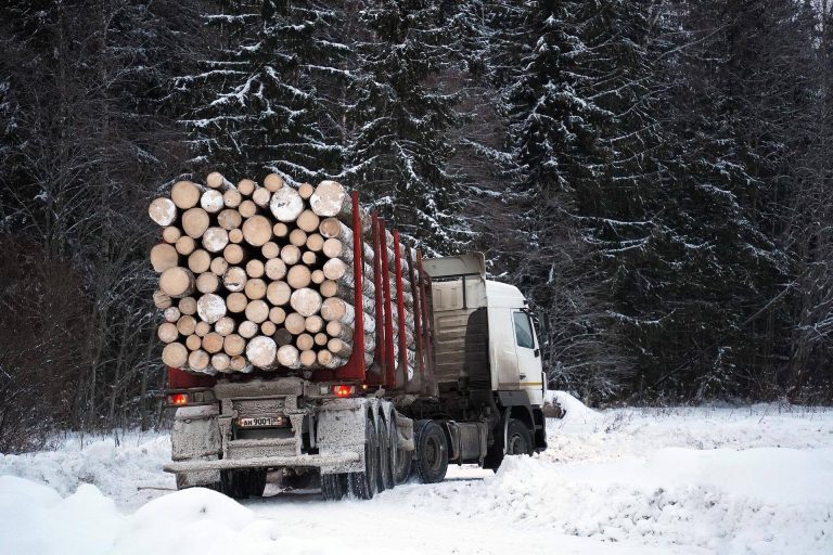 Camión cargado con Madera