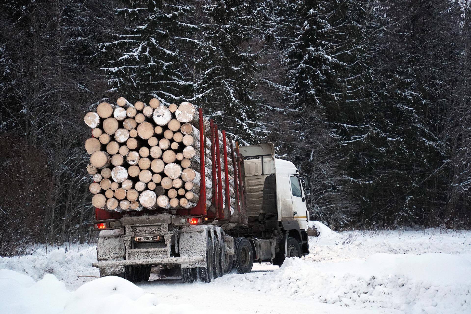 Camión cargado con Madera