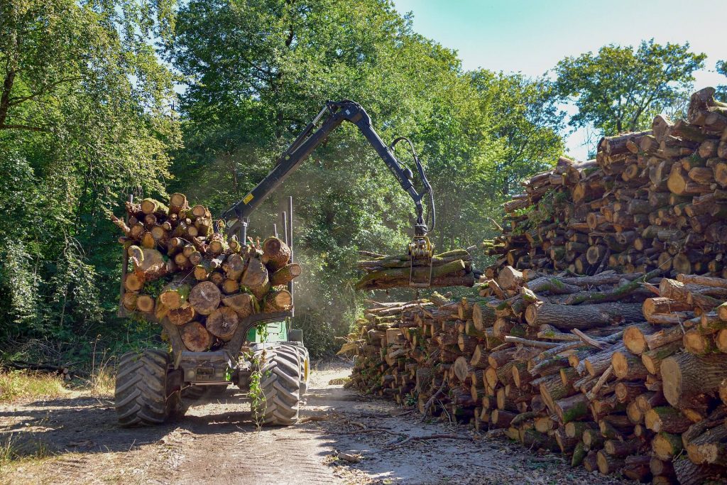 Tractor forestal