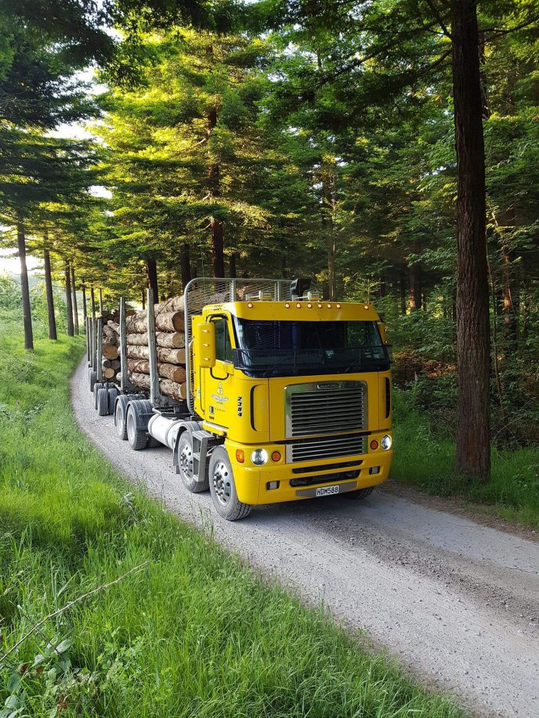 Camión forestal